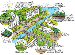 Lire la suite à propos de l’article Révision du PLU : une occasion pour faire de Bures une ville d&rsquo;avenir