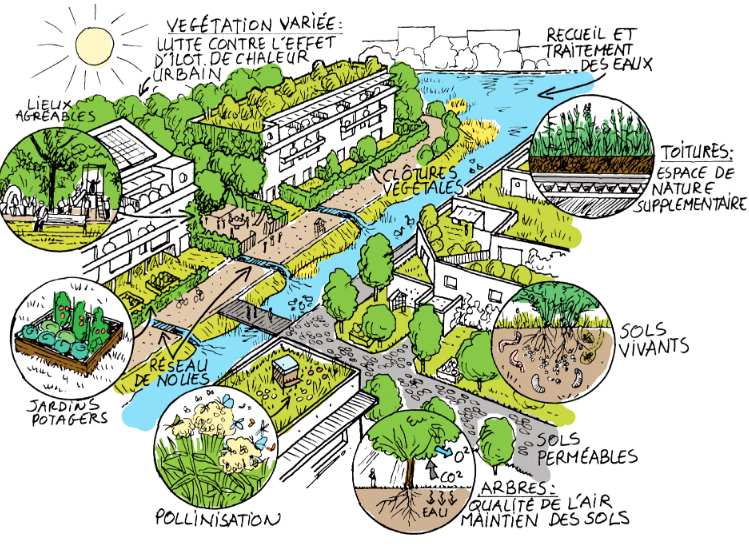 You are currently viewing Révision du PLU : une occasion pour faire de Bures une ville d&rsquo;avenir